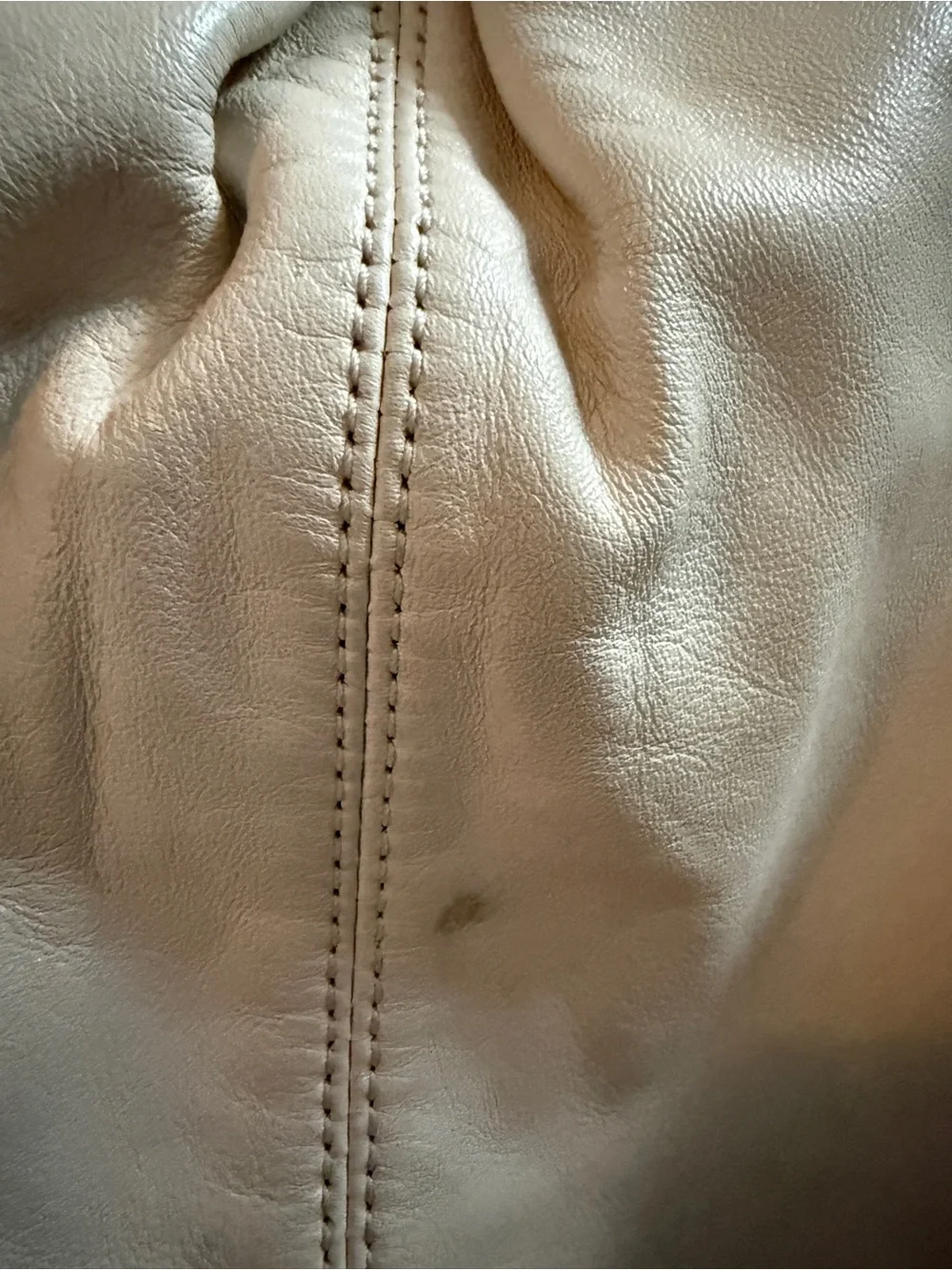 Coach Cream Ivory Genuine Leather Hobo Shoulder Bag F20812